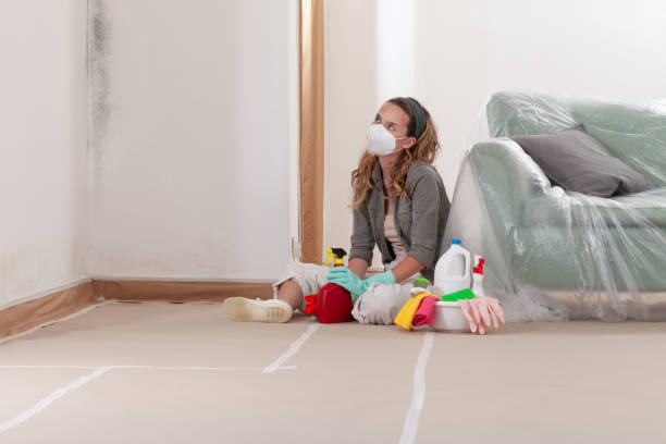Reliable Mold Remediation contractor in Poulsbo, WA by WQB Mold Removal